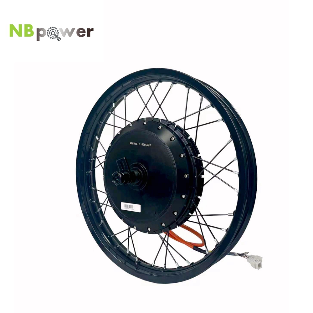 Motor de Cubo Traseiro NBpower - Qs Motor 273 8000W Hub Motor avaliação e preço